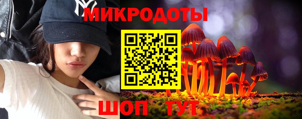 Подольск  Галлюциногенные грибы Cubensis  Вход с VPN 